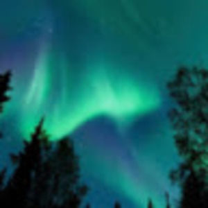 Meet your Posher, Alec